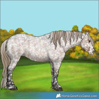Horse Color:Liver Red Dun Roan Sabino Snowflake VarnishBrindle