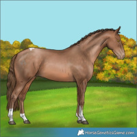 Horse Color:Brown Pearl Tobiano 
