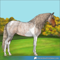 Horse Color:Chocolate Palomino Roan Tobiano 