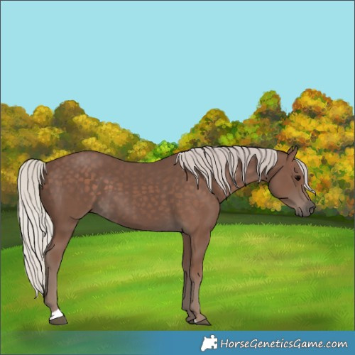 Horse Color:Silver Black 