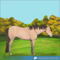 Horse Color:Amber Champagne Rabicano 