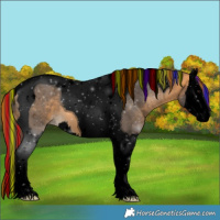 Horse Color:Void Painted Buckskin Splash Tobiano 