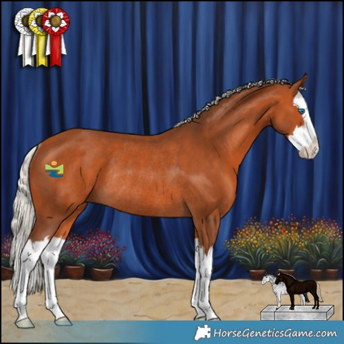 Horse Color:White Spotted Silver Bay Splash Rabicano 