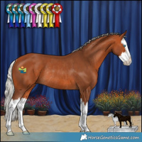 Horse Color:White Spotted Silver Bay Splash Rabicano