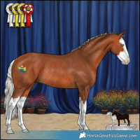 Horse Color:White Spotted Silver Bay Splash Rabicano