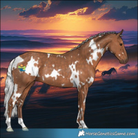 Horse Color:White Spotted Silver Black Rabicano 