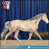 Horse Color:White Spotted Silver Buckskin Pearl 