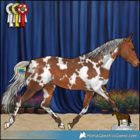 Horse Color:White Spotted Silver Brown 