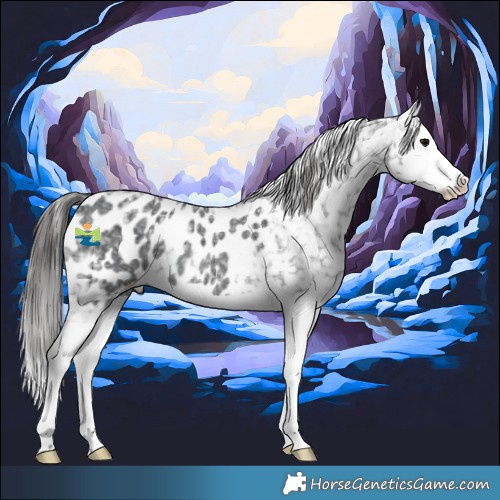 Horse Color:Black Ice Splash Appaloosa Rabicano 