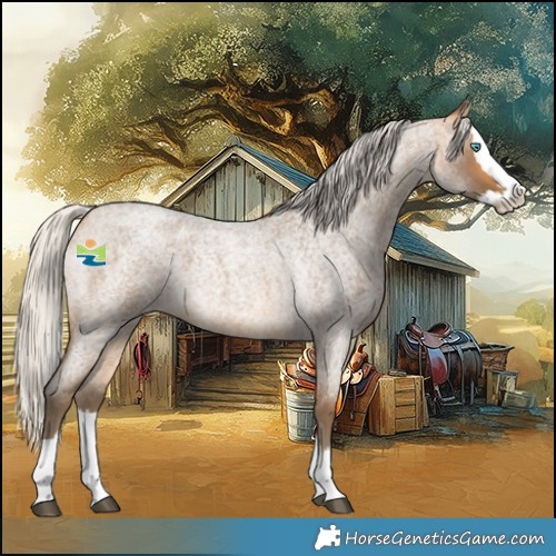 Horse Color:Silver Buckskin Roan Splash 