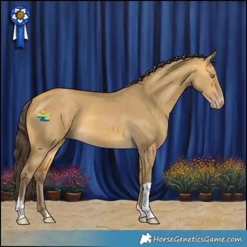Horse Color:Sable Cream Champagne Dun Tobiano 