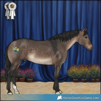 Horse Color:Brown Dun 