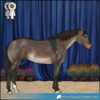 Horse Color:Brown Dun 