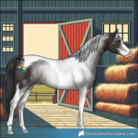Horse Color:Brown Sabino Tobiano 