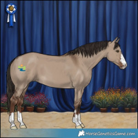 Horse Color:Liver Red Dun 