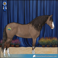 Horse Color:Liver Red Dun 