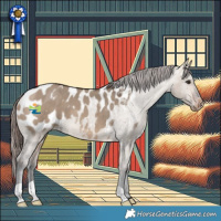 Horse Color:Bay Dun Blanket 