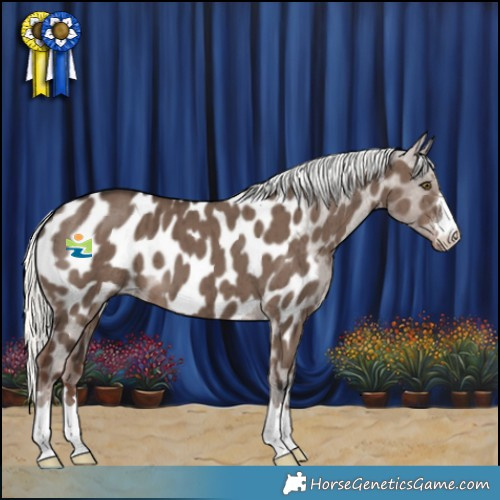 Horse Color:Liver Red Dun Mushroom Appaloosa Brindle 