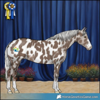 Horse Color:Liver Red Dun Mushroom Appaloosa Brindle 