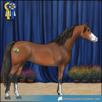 Horse Color:Bay Sabino 