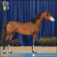 Horse Color:Bay Sabino 