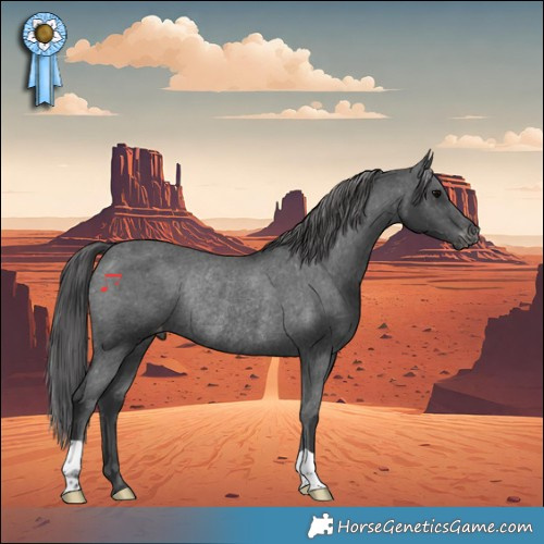 Horse Color:Black Appaloosa Rabicano 