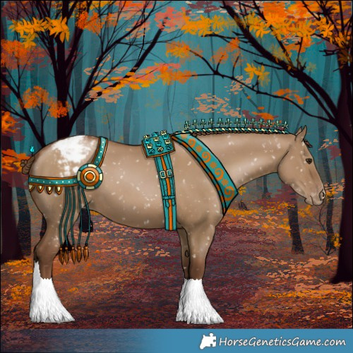 Horse Color:Gray Grullo Pearl Appaloosa 