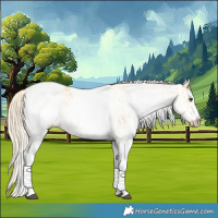Horse Color:White Spotted Palomino Dun Rabicano  and White Spotted Palomino Dun Rabicano 