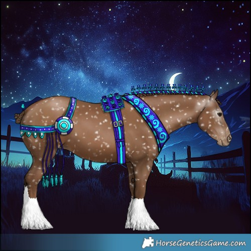 Horse Color:Gray Black Pearl Appaloosa 