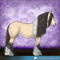 Horse Color:Buckskin Dun Tobiano 