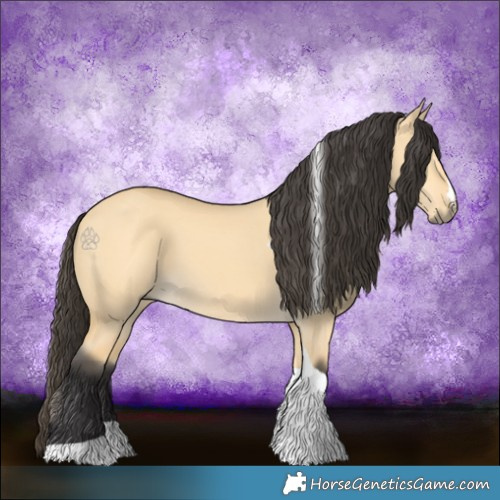 Horse Color:Buckskin Dun Tobiano