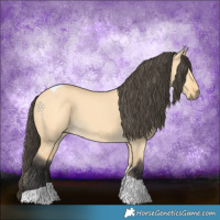 Horse Color:Buckskin Dun Tobiano 