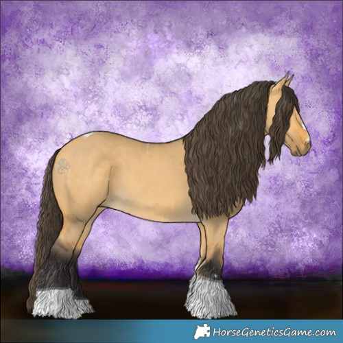 Horse Color:Buckskin Dun Tobiano