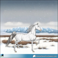 Horse Color:Blue Onyx Roan Appaloosa 