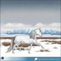 Horse Color:Blue Onyx Roan Blanket