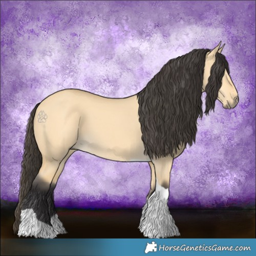 Horse Color:Buckskin Dun Tobiano