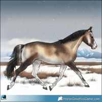 Horse Color:Brown Onyx