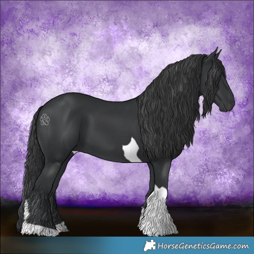 Horse Color:Black Tobiano 