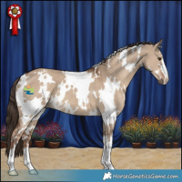 Horse Color:White Spotted Liver Red Dun 