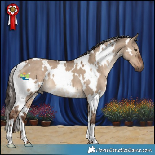 Horse Color:White Spotted Liver Red Dun 