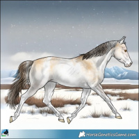 Horse Color:White Spotted Amber Cream Champagne Onyx 