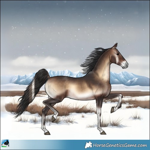 Horse Color:Brown Onyx