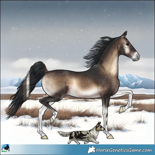 Horse Color:Brown Onyx