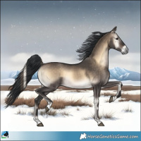 Horse Color:Brown Onyx 