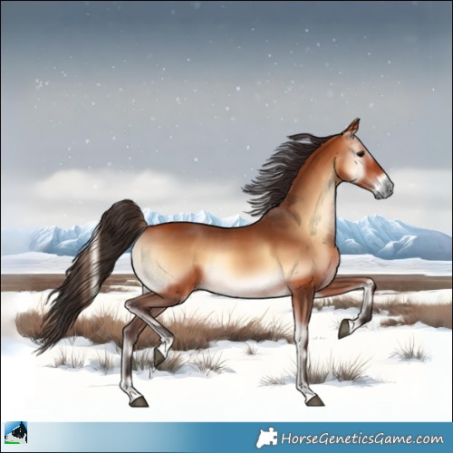 Horse Color:Bay Onyx 