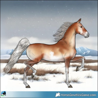 Horse Color:White Spotted Silver Bay Onyx 