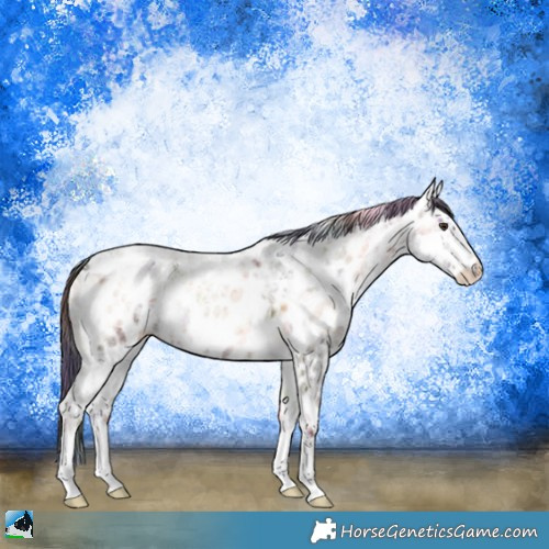 Horse Color:Nacre Liver Red Onyx Ice Roan Appaloosa