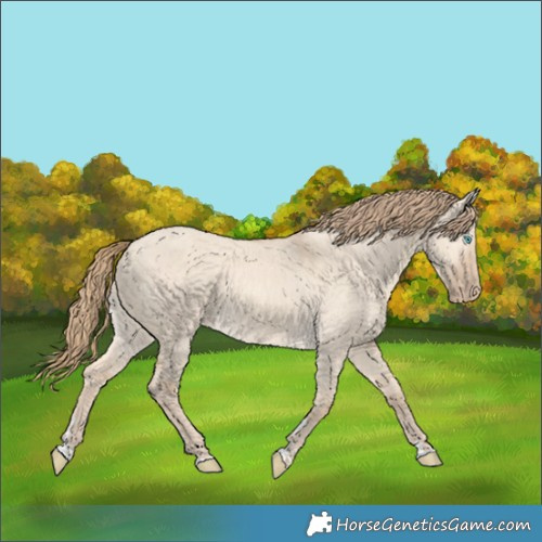 Horse Color:Perlino Dun 