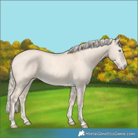 Horse Color:Cremello Dun 