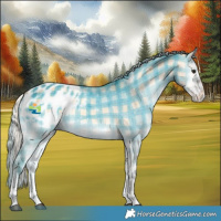 Horse Color:Plaid  Silver Brown Onyx Sabino Tobiano Appaloosa Rabicano 